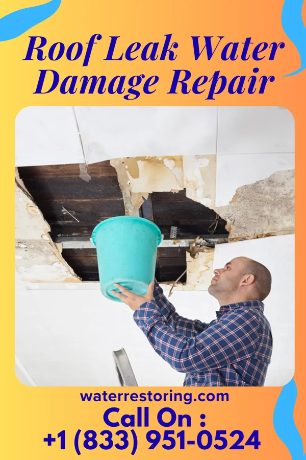 Roof Leak Water Damage Repair in Fisher, LA